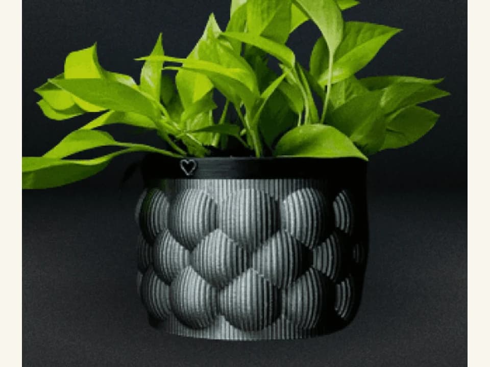 Florero auto-riego
