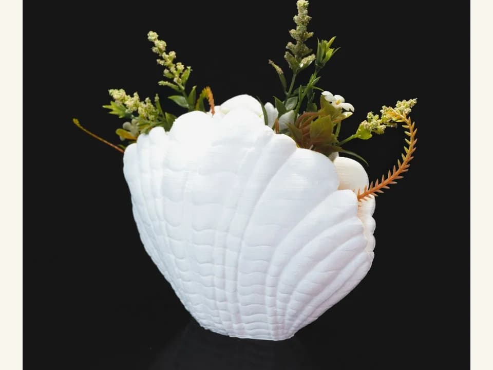 Florero concha