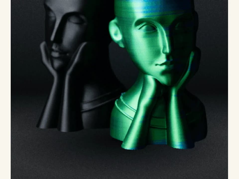 Floreros rostro