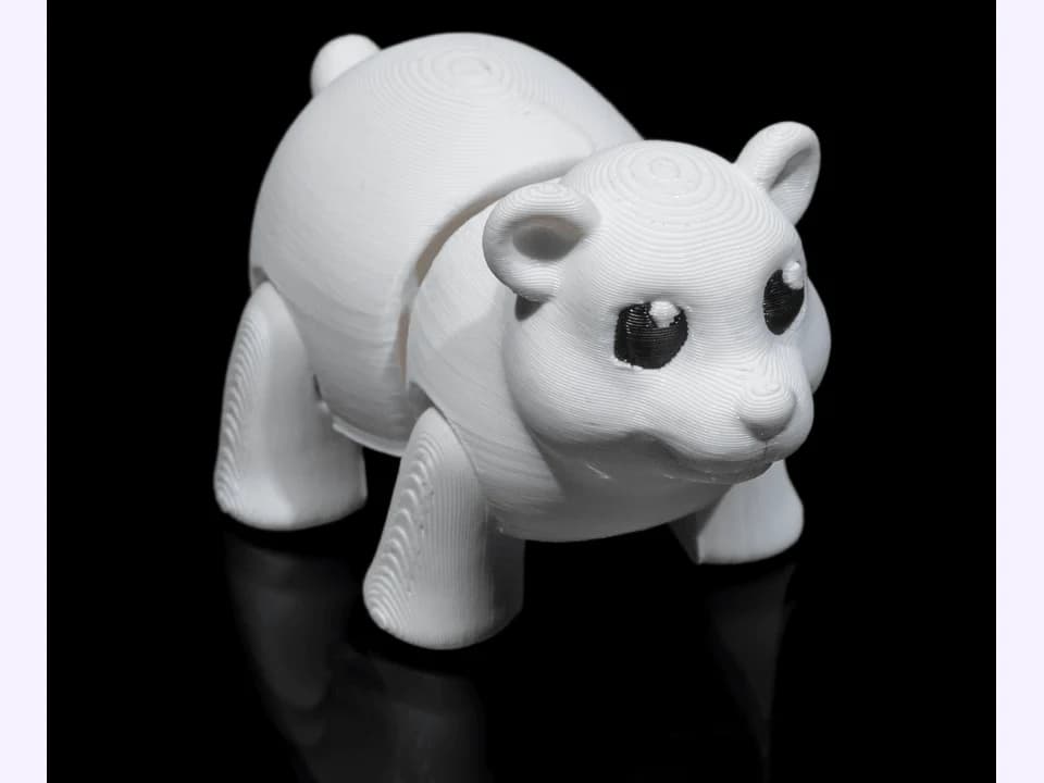 Oso polar pequeno